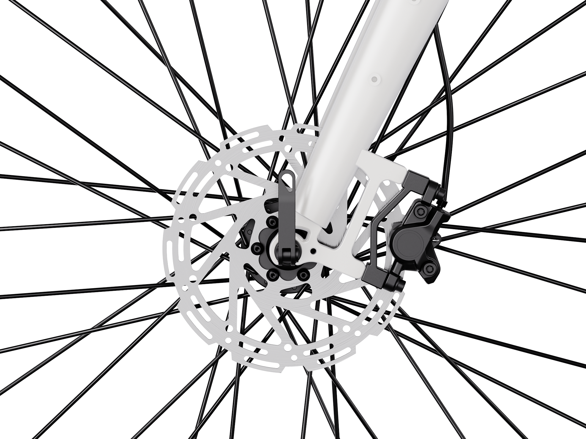 Heybike Venus - ECOGO