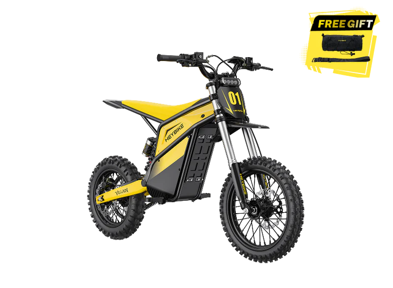 Heybike Villain - ECOGO