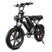 CYCROWN CycHunter 2.0 Moped-Style Ebike - ECOGO