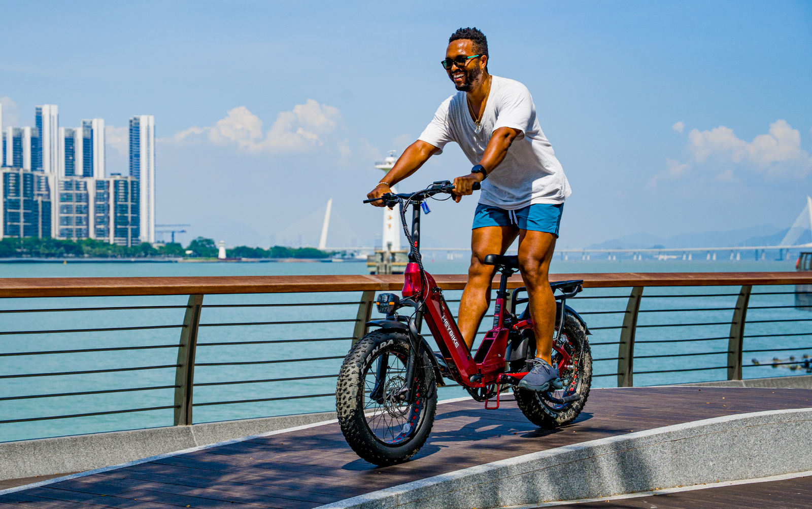 Heybike Ranger 3.0 Pro - ECOGO