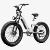 CYCROWN Roma All-Terrain Ebike