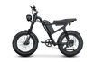 Z8 Electric Bike - ECOGO