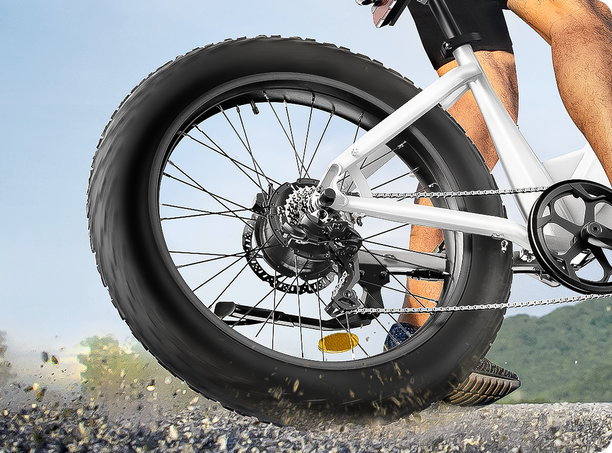 26 x 4.0" CST Fat Tires
