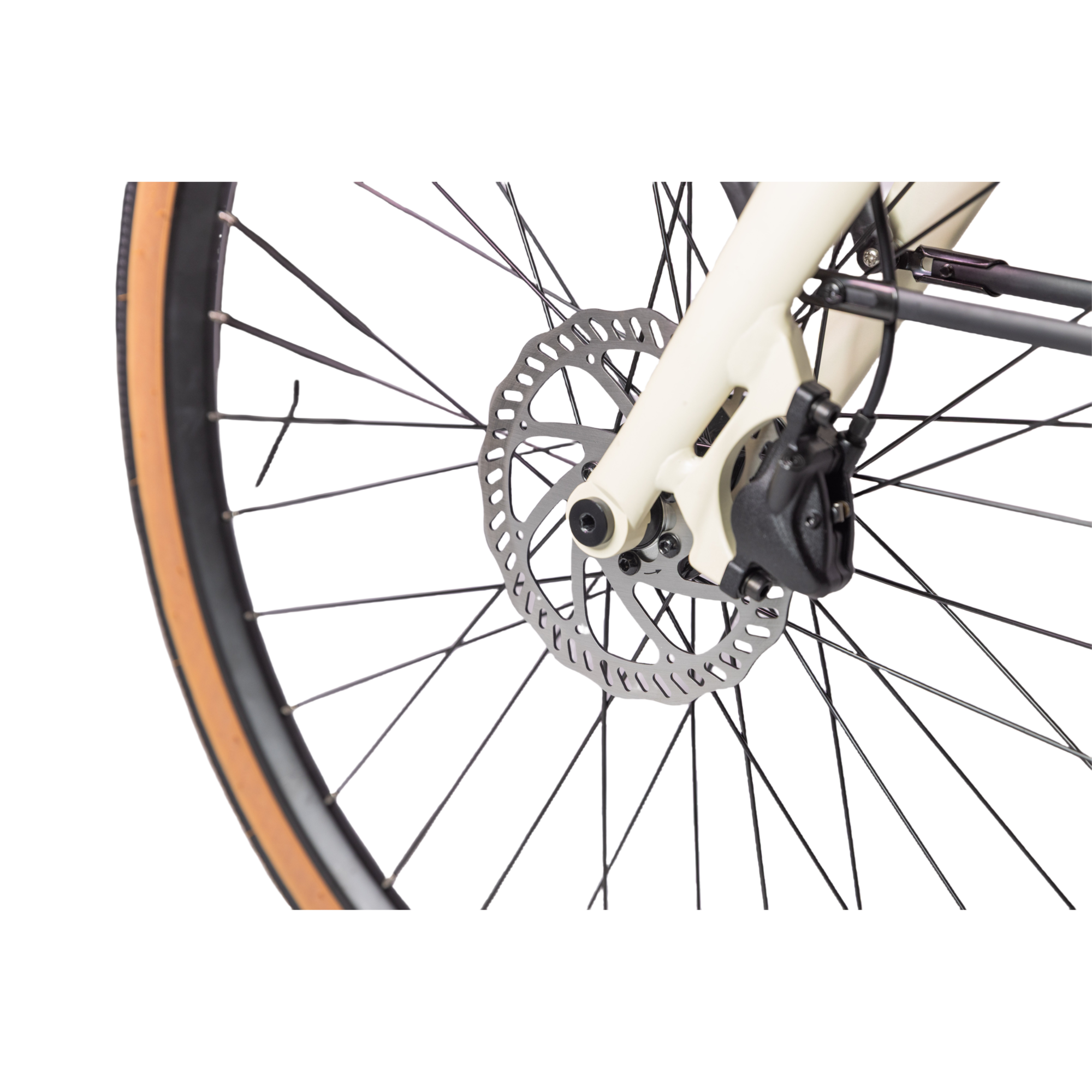Bayvue | torque sensor ebike - ECOGO