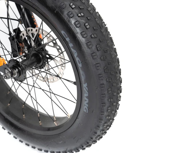 TERRAIN TIRES