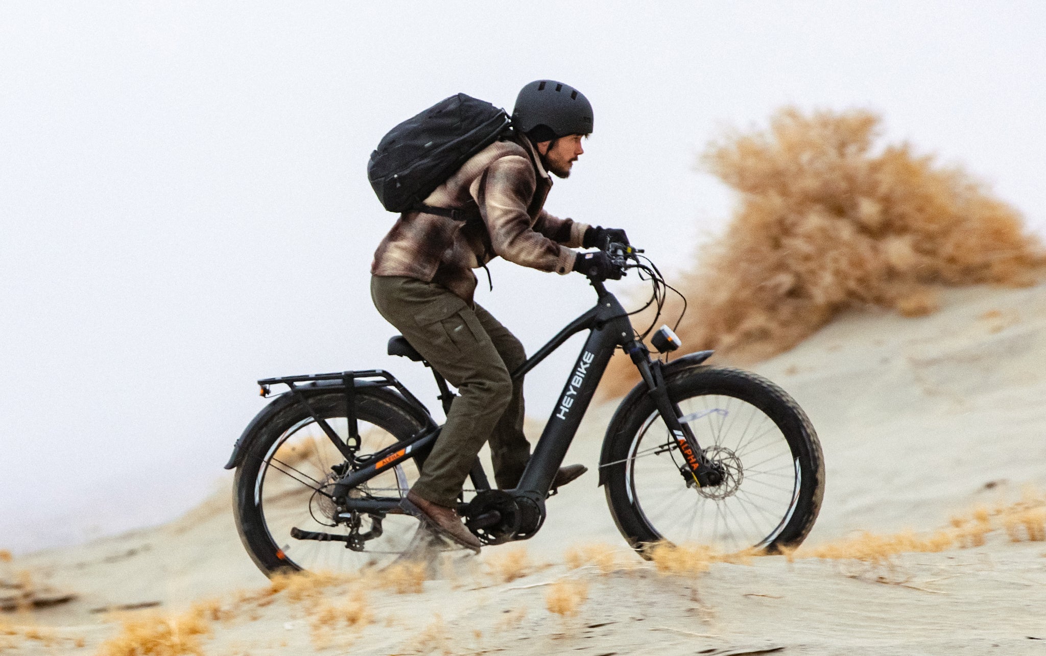 Heybike ALPHA - ECOGO