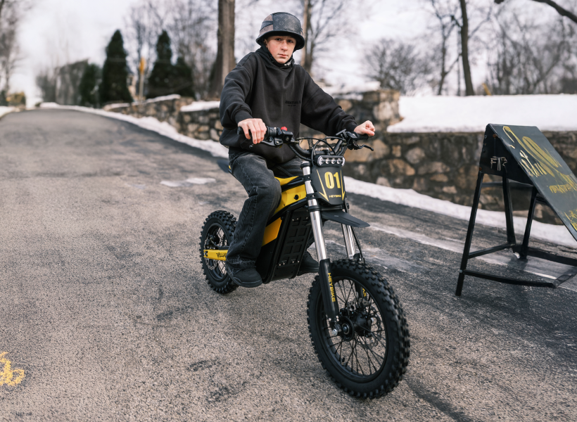 Heybike Villain - ECOGO