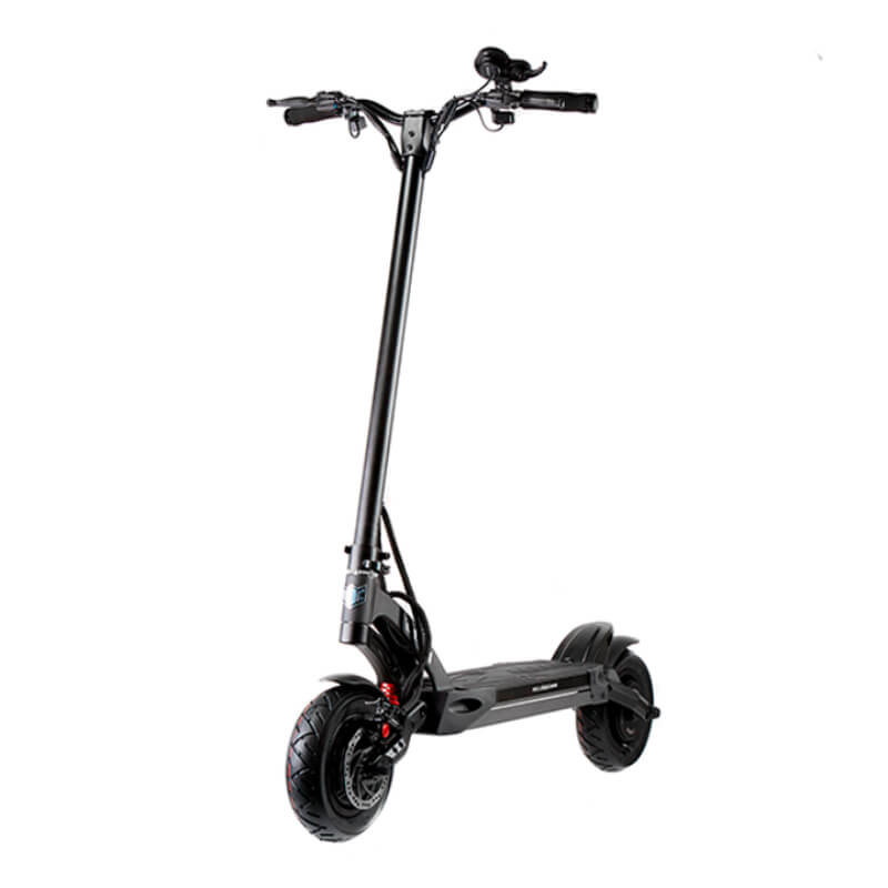 Kaabo Mantis 10 Plus - ECOGO