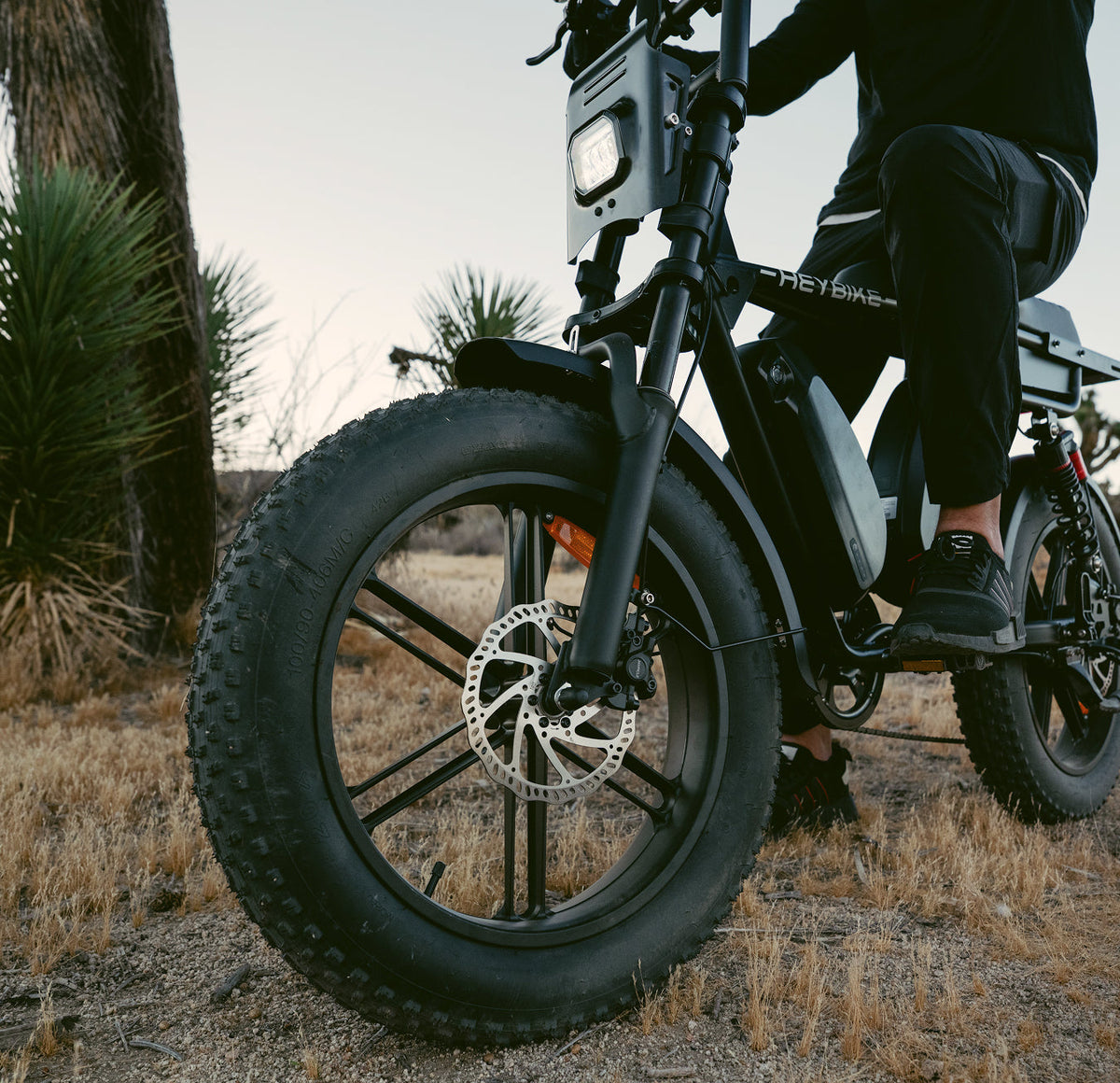 20 x 4.0" Fat Tires
