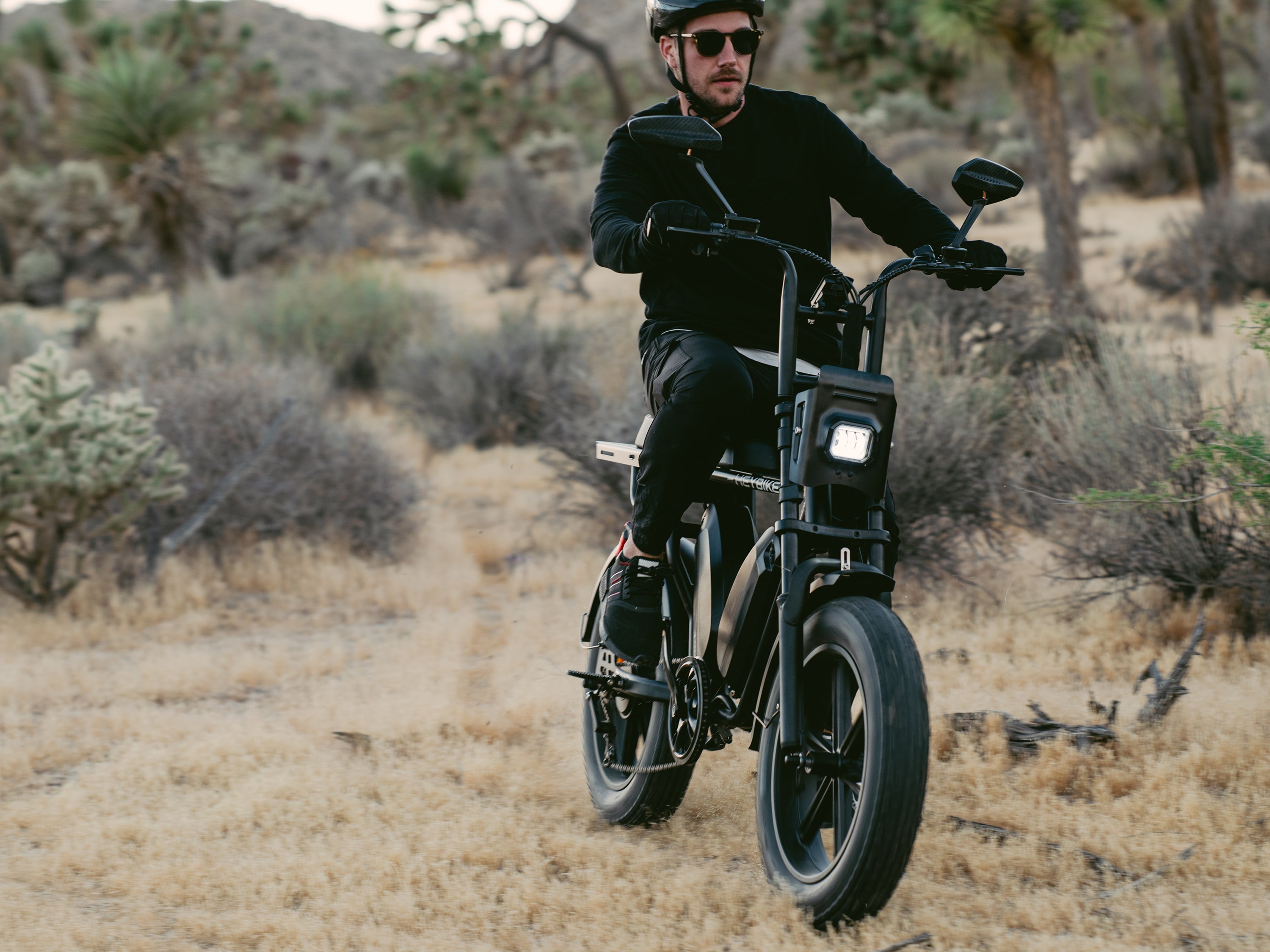 Heybike Saturn - Dual battery - ECOGO