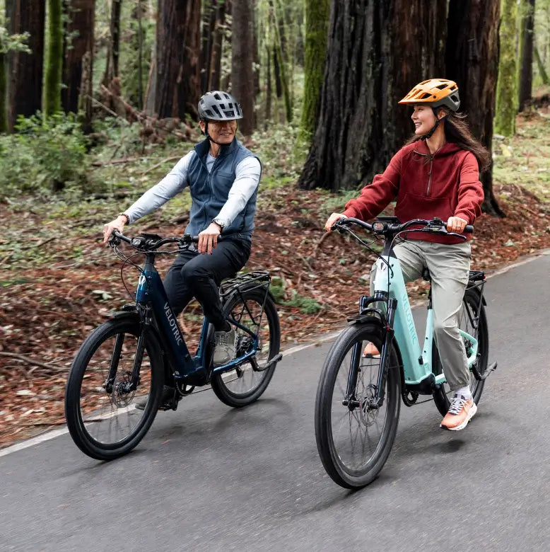 Forest Trail Riding