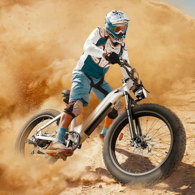 CYCROWN CycVerve All-terrain Ebike